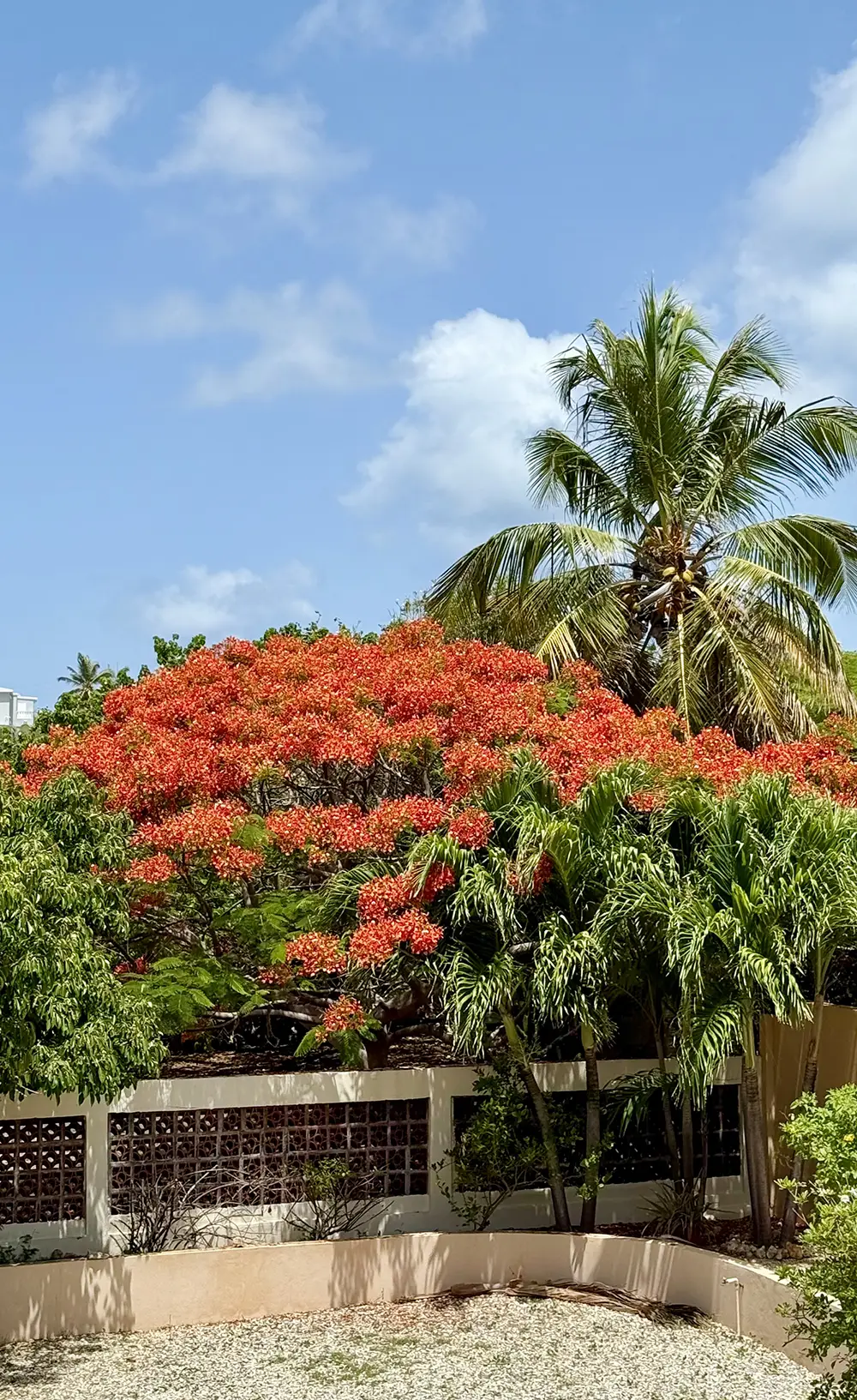 Villa Bénie property exterior — waterfront setting, warm afternoon light, natural stone and timber construction